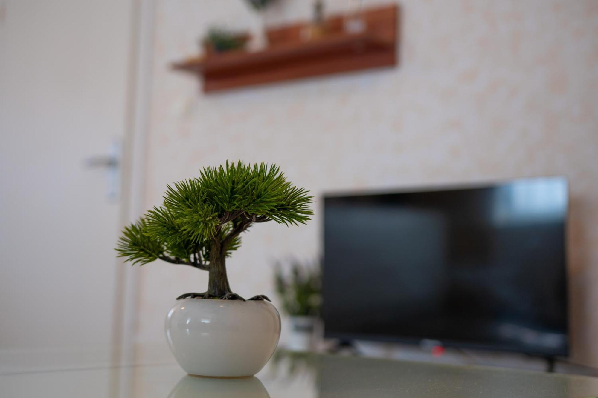 Apartments & Rooms Toni 斯普利特 外观 照片